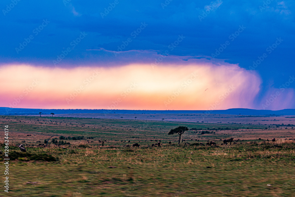 Obraz premium sunset in the mountains Wildlife animals Maasai Mara National Game Reserve Narok County Kenya East Africa