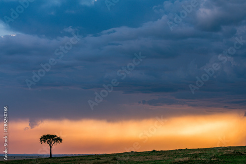 sunset in the desert