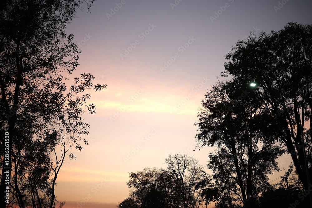 sunset in the park sunset in the park