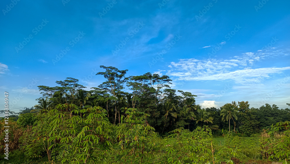 Fototapeta premium Tropical Forest Landscape with Lush Green Vegetation Under Clear Blue Sky with White Clouds