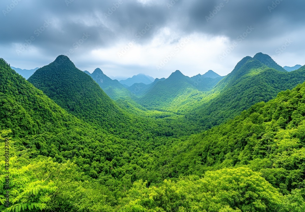 Lush green mountains under a cloudy sky. Dense tropical foliage covers the rolling hills creating a dramatic landscape Lush green mountains under a cloudy sky. Dense tropical foliage covers the rolling hills creating a dramatic landscape