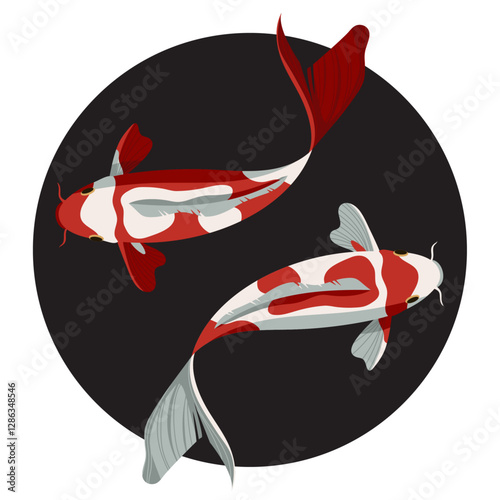 Koi fish vector illustration Japanese carp swimming in dark pond traditional Asian goldfish elegant oriental art