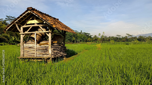 Traditional Hut in Lush Green Rice Field with Mountain Backdrop Under Clear Blue Sky