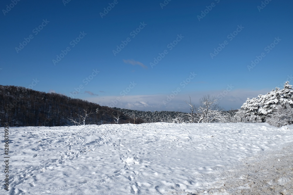 Snowy Landscape with Distant Mountains and Bare Trees Under a Cloudy Sky Snowy Landscape with Distant Mountains and Bare Trees Under a Cloudy Sky