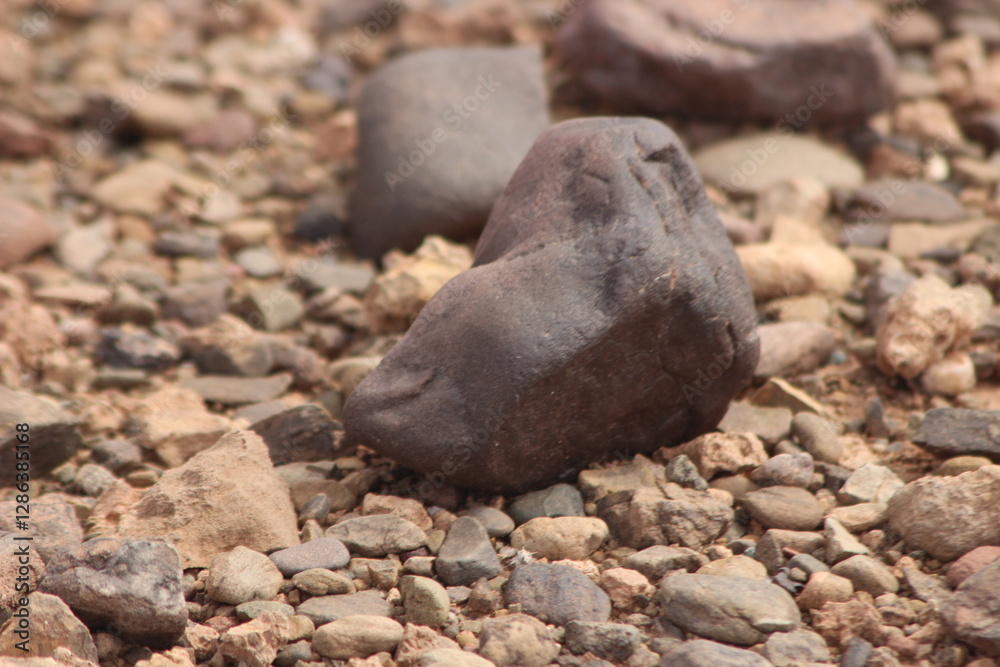 A close-up view of a black stone on the ground A close-up view of a black stone on the ground