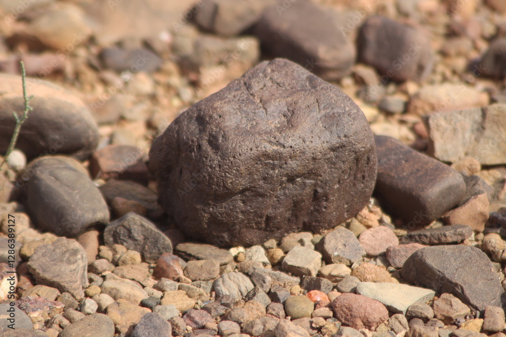 A close-up view of a black stone on the ground A close-up view of a black stone on the ground