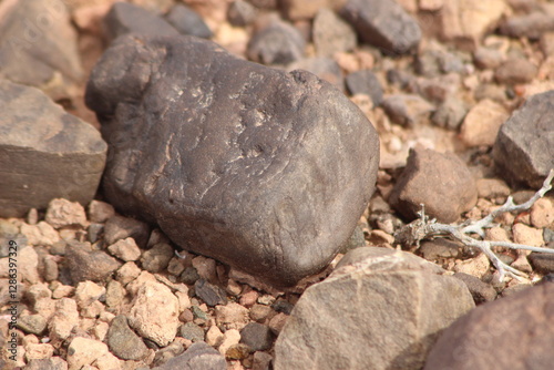 Wallpaper Mural A close-up view of a black stone on the ground Torontodigital.ca