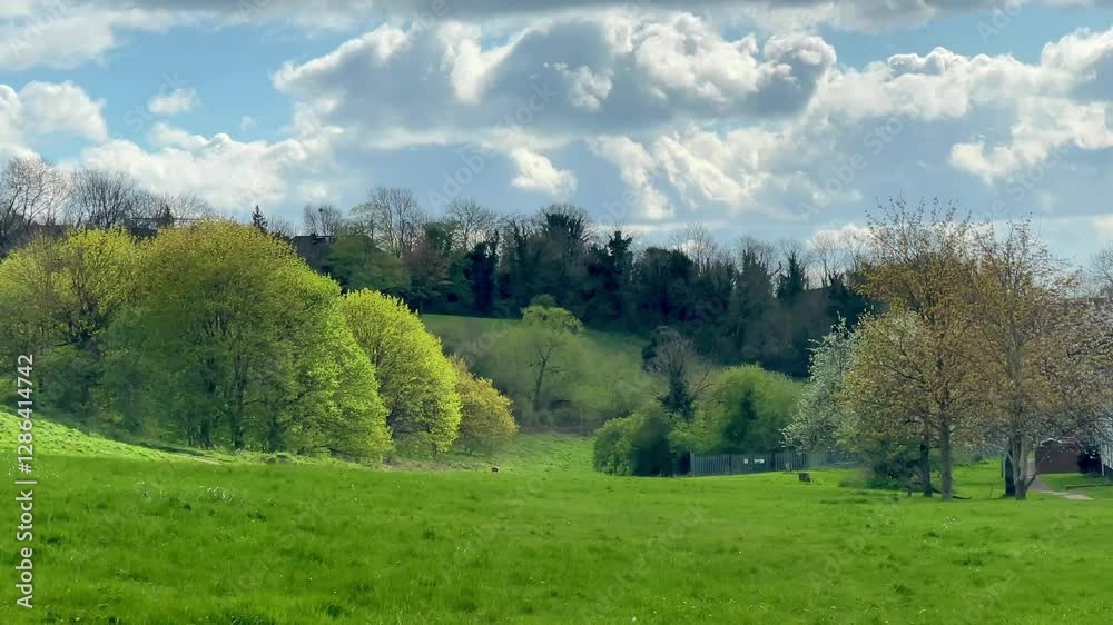 Rolling green countryside with vibrant trees and a backdrop of a blue sky adorned with soft clouds. It reflects the beauty and serenity of the English landscape Rolling green countryside with vibrant trees and a backdrop of a blue sky adorned with soft clouds. It reflects the beauty and serenity of the English landscape