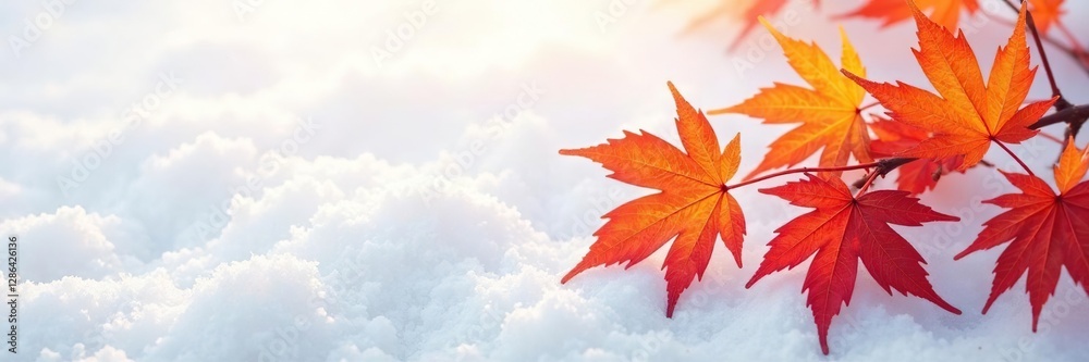 Delicate maple leaves in a gradient of orange and red hues on a snowy white backdrop, snow, autumn scene Delicate maple leaves in a gradient of orange and red hues on a snowy white backdrop, snow, autumn scene