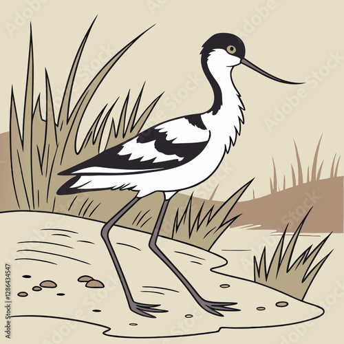 vector illustration of a bird