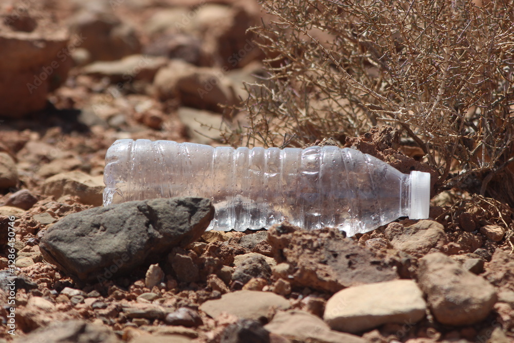 Obraz premium Empty plastic bottle lying on the ground
