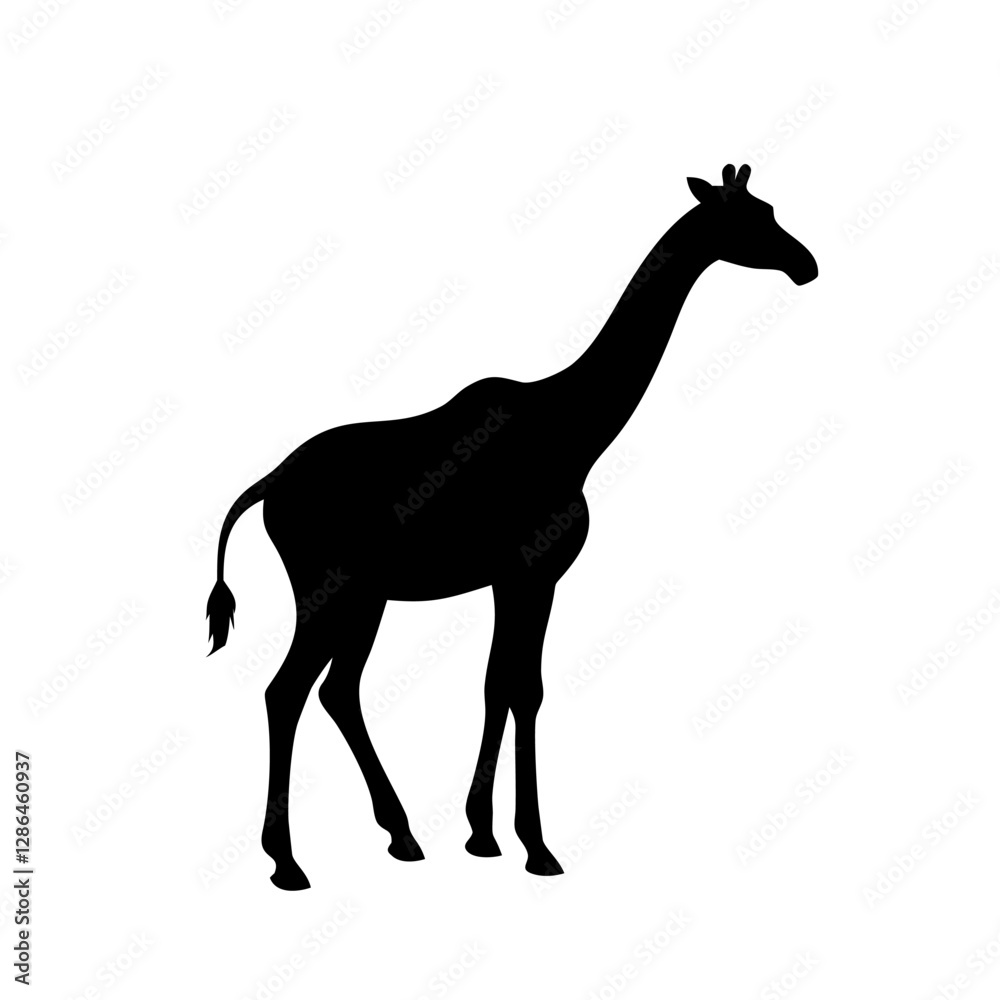 Vector silhouette of a giraffe on white background Vector silhouette of a giraffe on white background