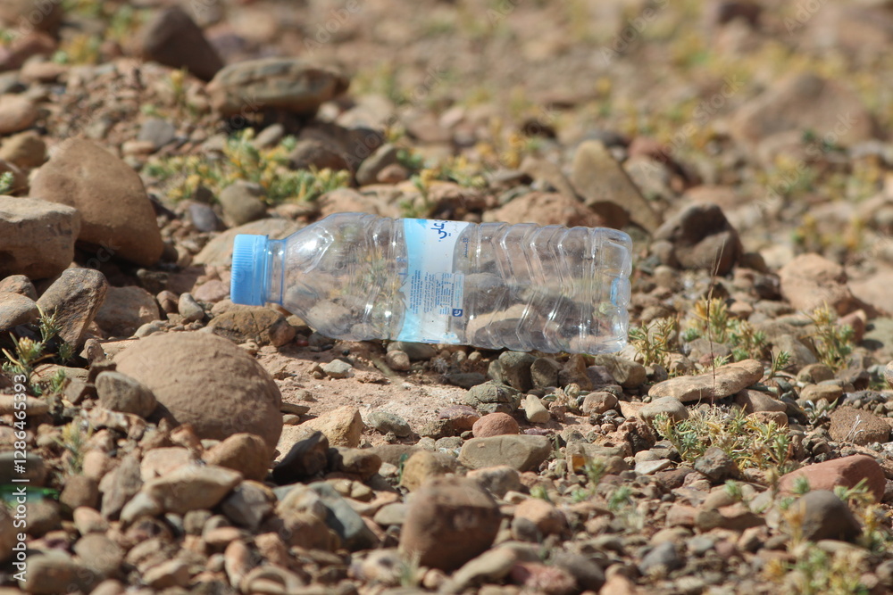 Obraz premium Empty plastic bottle lying on the ground