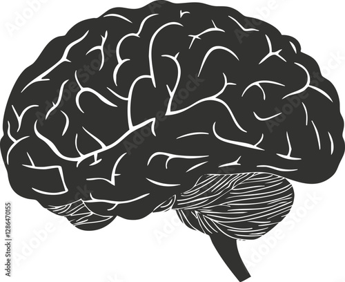 Black and white illustration of a human brain on a white background.