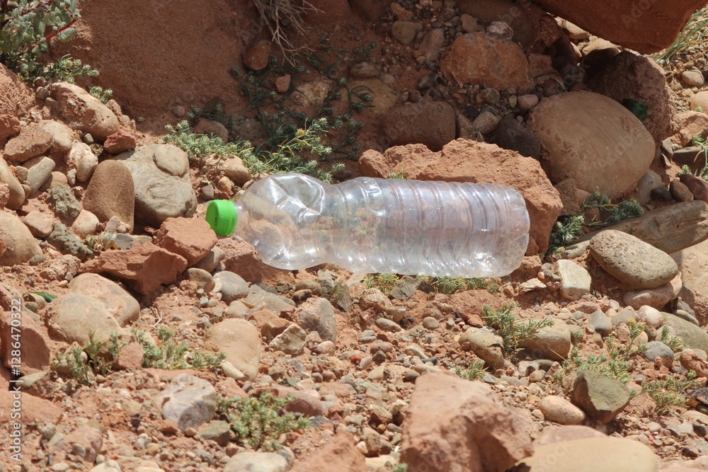 Obraz premium Empty plastic bottle lying on the ground