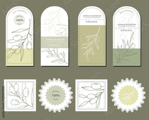 Olives Line Art. Olives Labels. Organic Shop banner. Botanical Background trendy minimalist olive branches. Olives banner template. Floral Line Art Illustration.