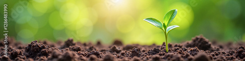 LinkedIn background with a sprouting green plant emerging from rich soil against a blurred natural background, symbolizing sustainable business growth and fresh opportunities.