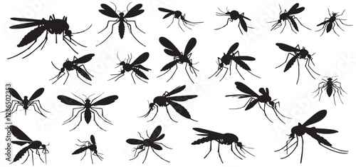Set of black silhouette mosquitoes, silhouette mosquitoes isolated on white background