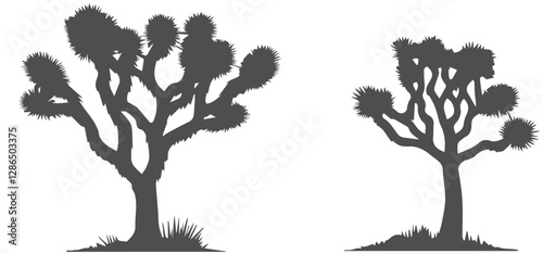 Joshua tree vector collection, Joshua tree, Joshua tree vector isolated on white background