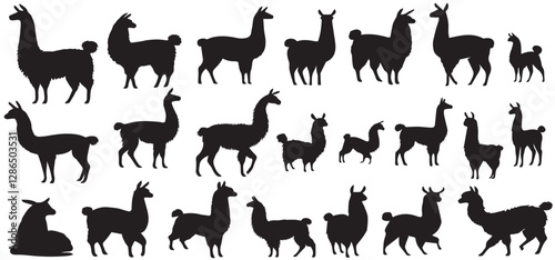 Llama and Alpaca silhouette set, Llama silhouettes set, animal pack of vector silhouette design, isolated background