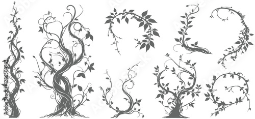 Jungle creeper silhouettes. Tropical forest lianas, rainforest hanging sprouts. Climbing liana vines flat set vector