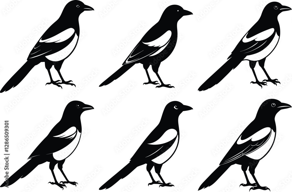 Magpie Bird Silhouette vector set, black magpie bird Magpie Bird Silhouette vector set, black magpie bird