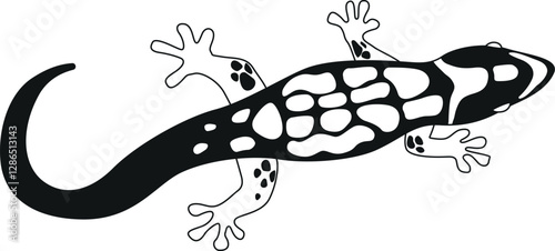 Exotic amphibian black-and-white vector illustration
