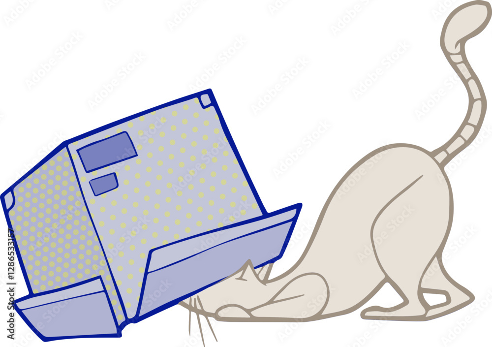 Chat qui regarde sous un carton