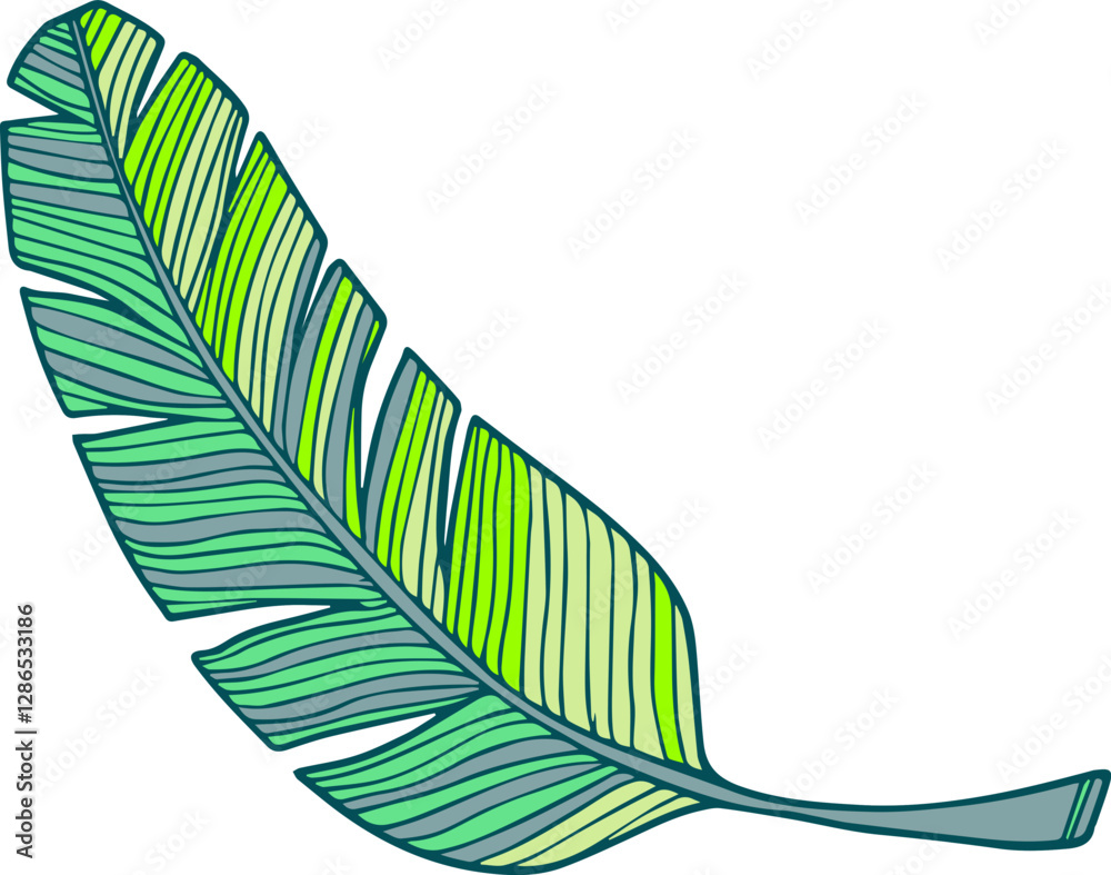 Plume d'oiseau exotique verte