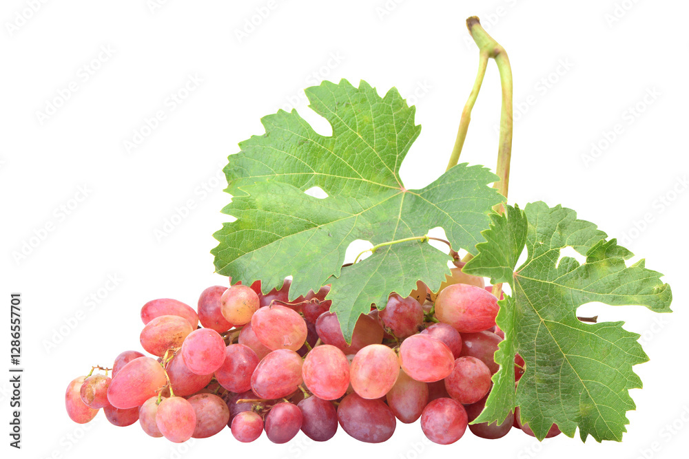 Red grapes isolated on white