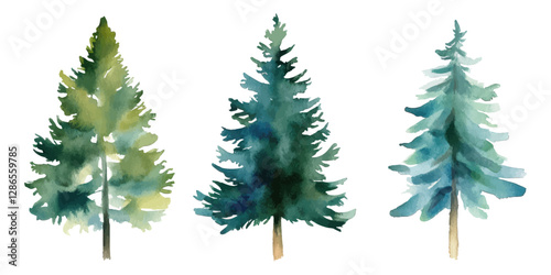Watercolor illustration of three evergreen pine trees with soft natural textures