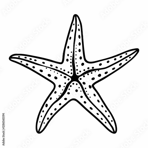Black and White Starfish Vector Illustration for Creative Designs