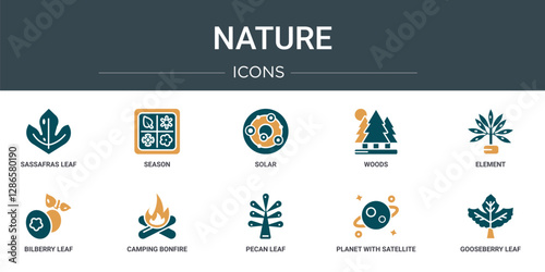 set of 10 outline web nature icons such as sassafras leaf, season, solar, woods, element, bilberry leaf, camping bonfire vector icons for report, presentation, diagram, web design, mobile app