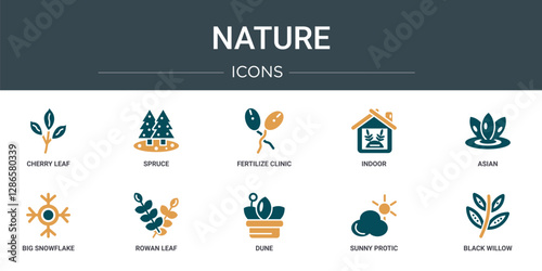 set of 10 outline web nature icons such as cherry leaf, spruce, fertilize clinic, indoor, asian, big snowflake, rowan leaf vector icons for report, presentation, diagram, web design, mobile app