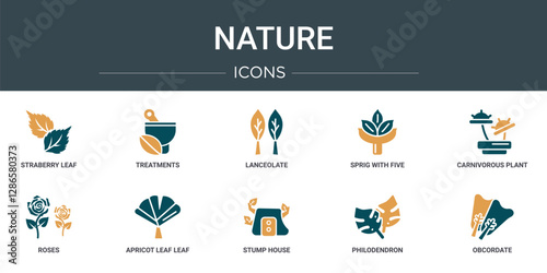 set of 10 outline web nature icons such as straberry leaf, treatments, lanceolate, sprig with five leaves, carnivorous plant, roses, apricot leaf leaf vector icons for report, presentation, diagram,