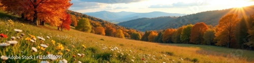 Vibrant autumn foliage, wildflowers bloom across rolling hills, plant, fall
