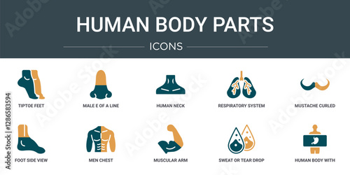 set of 10 outline web human body parts icons such as tiptoe feet, male e of a line, human neck, respiratory system, mustache curled tip variant, foot side view, men chest vector icons for report,