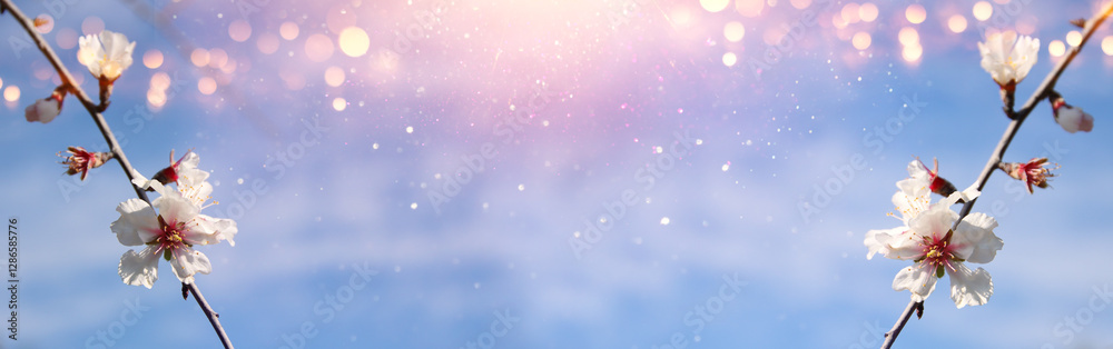 dreamy background of spring blossom tree. selective focus dreamy background of spring blossom tree. selective focus
