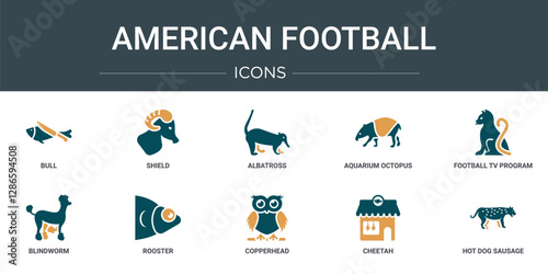 set of 10 outline web american football icons such as bull, shield, albatross, aquarium octopus, football tv program, blindworm, rooster vector icons for report, presentation, diagram, web design,