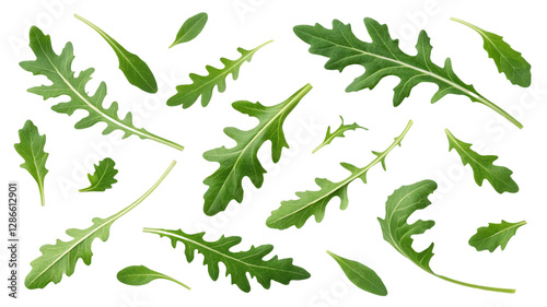 Collection of Fresh Green Rucola Leaves, Isolated on Transparent Background, Food Photography, Scattered Composition, arugula, herb, greens
