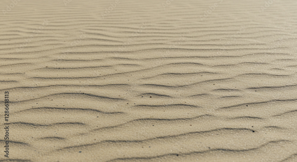 Close-up of desert sand with faint footprints. This close-up image captures the texture and subtle ripples of desert sand. Close-up of desert sand with faint footprints. This close-up image captures the texture and subtle ripples of desert sand.
