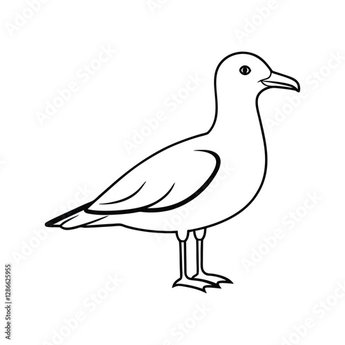 seagull 