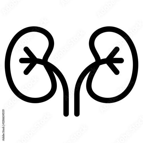 Kidney Outline Icon