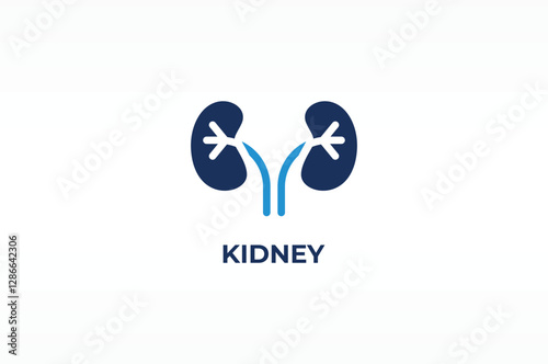 KIDNEY vector, icon or logo sign isolated symbol illustration