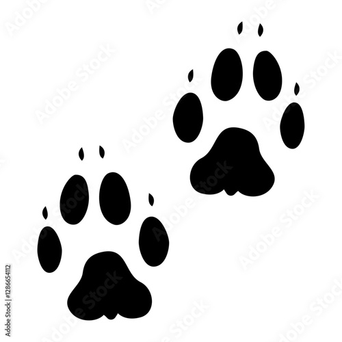 bobcat footprint,  bobcat trail,  bobcat paw print.