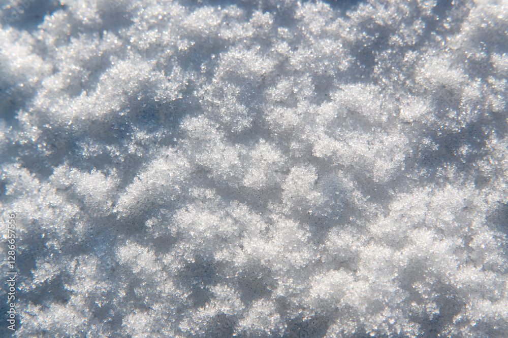 Snow, background, wallpaper. Frozen water crystals.