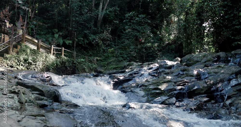 Scenic river in rain forest and a little cascade waterfalls Scenic river in rain forest and a little cascade waterfalls