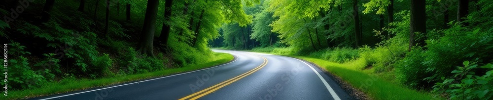 Fototapeta premium Single asphalt lane winding through dense forest, nature, road surface