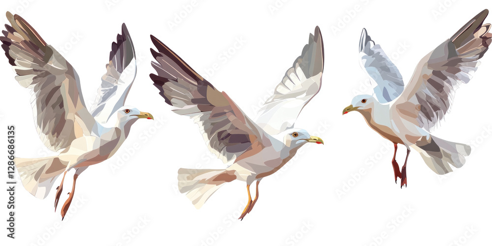 Fototapeta premium two seagulls isolated on white