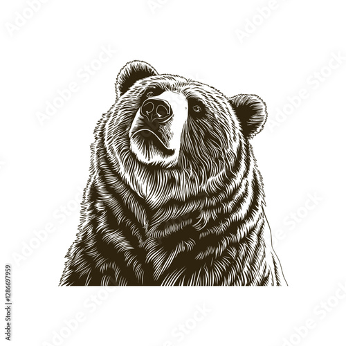 Vintage engraving woodcut bear vector illustration art design 